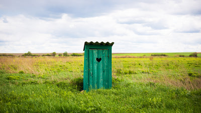 Beyond the Outhouse; A Modern Guide to Composting Toilets